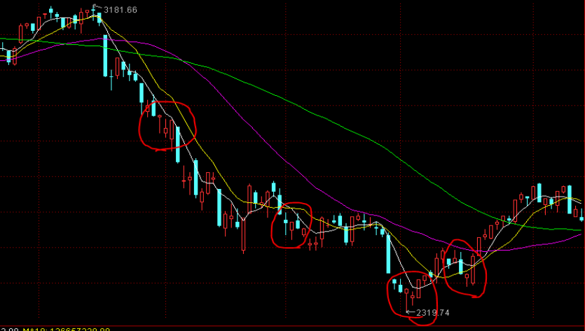 国家新一轮第二批支持的重点“小巨人”企业名单公布 梅州1家企业获认定实现“零突破”